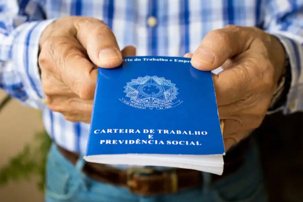 Direito Previdenciário - Brígida Macário Advocacia